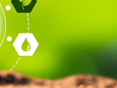 How To Make Your Home More Sustainable?