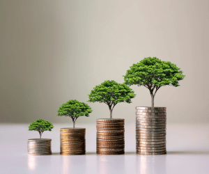 Multi Build Construction - Home Design trends for 2023